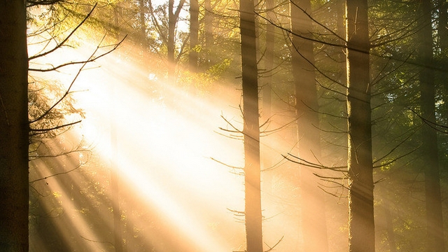 爱,像风雨中的阳光sunshine in the rain