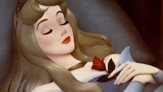 level   睡美人  sleeping beauty